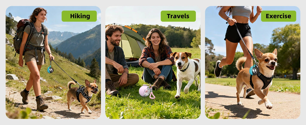 2-in-1 Portable Dog Water Bottle for Small Dogs - Leak-Proof & Compact Dog Travel Water Bottle -Stainless Steel Bottle & Silicon by HARMONYA STORE