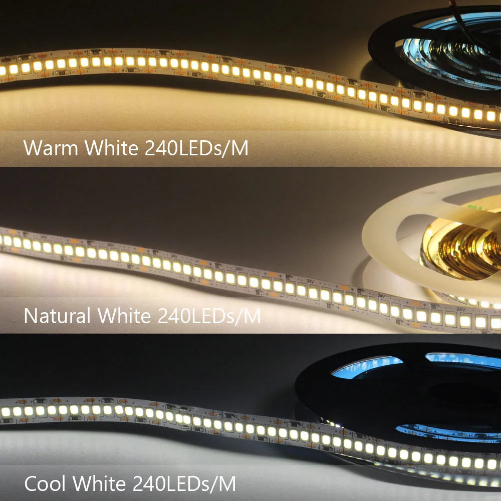 12V LED Strip SMD 2835 1M 2M 3M 4M 5M LED Stripe Tape Light 120LED/M 240LED/M Warm White Flexible Strip Ribbon Home Decor Light by HARMONYA STORE