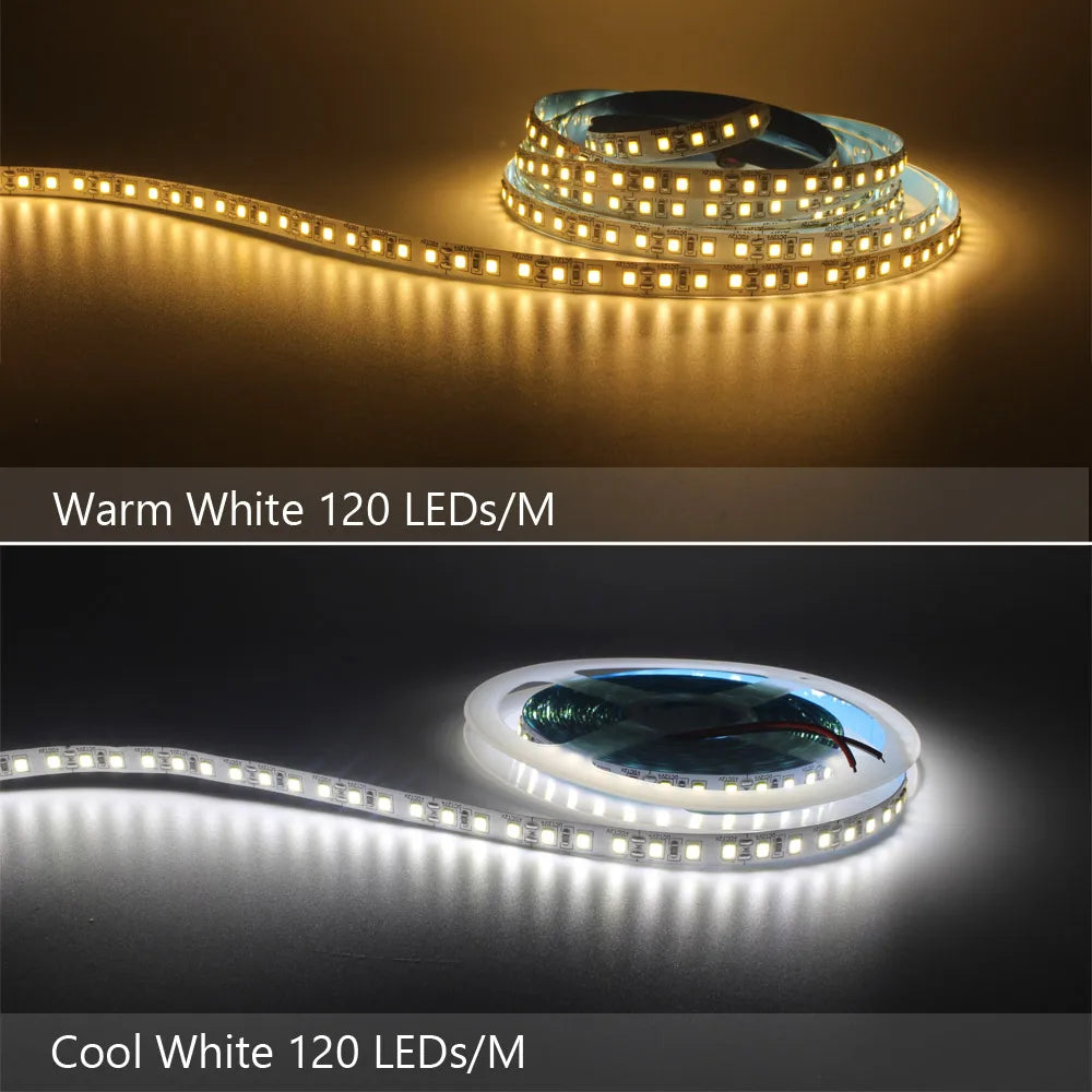 12V LED Strip SMD 2835 1M 2M 3M 4M 5M LED Stripe Tape Light 120LED/M 240LED/M Warm White Flexible Strip Ribbon Home Decor Light by HARMONYA STORE