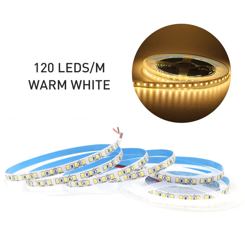 12V LED Strip SMD 2835 1M 2M 3M 4M 5M LED Stripe Tape Light 120LED/M 240LED/M Warm White Flexible Strip Ribbon Home Decor Light by HARMONYA STORE