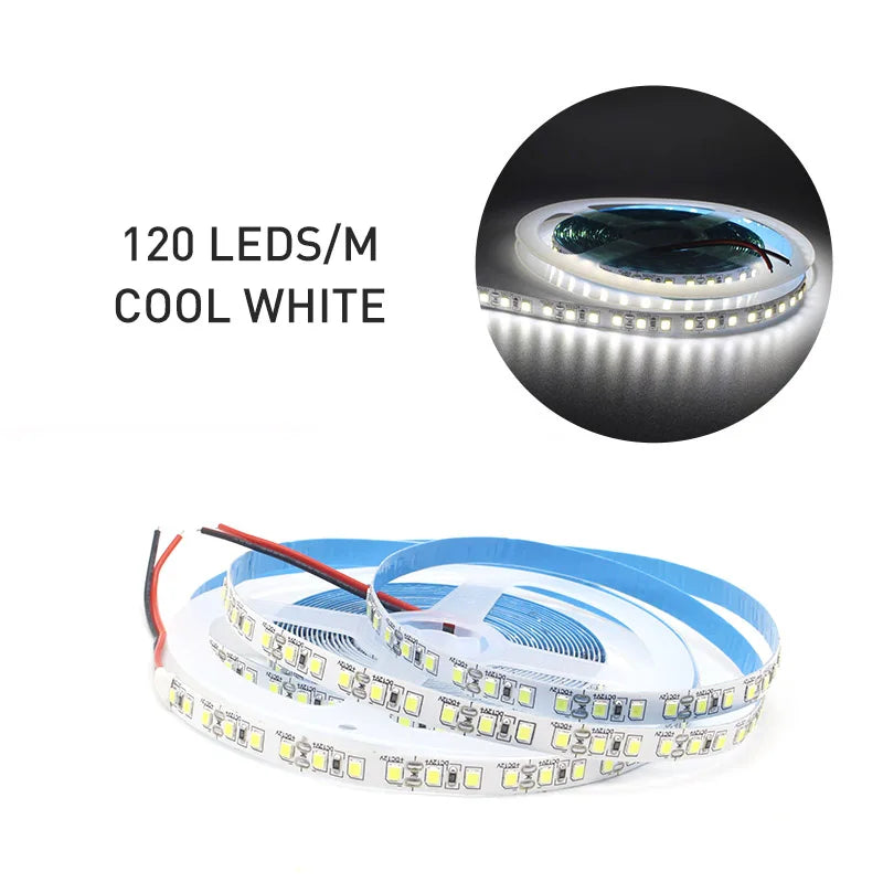 12V LED Strip SMD 2835 1M 2M 3M 4M 5M LED Stripe Tape Light 120LED/M 240LED/M Warm White Flexible Strip Ribbon Home Decor Light by HARMONYA STORE