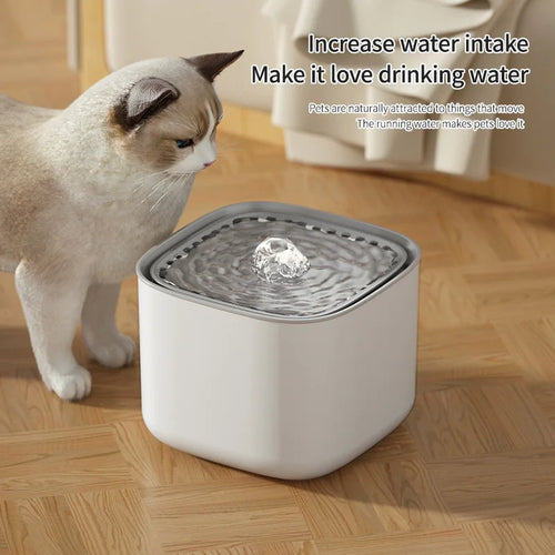 3L Cat Water Fountain Auto Recirculate Filter Large Capacity Filtring Cat Water Drinker USB Electric Mute Cats Water Dispenser by HARMONYA STORE