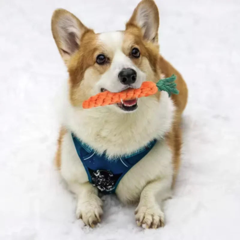 Cotton Rope Weaving Carrot Pet Toy for Puppies - Durable Wear & Bite Resistance Boredom Relief Dog Toy by HARMONYA STORE