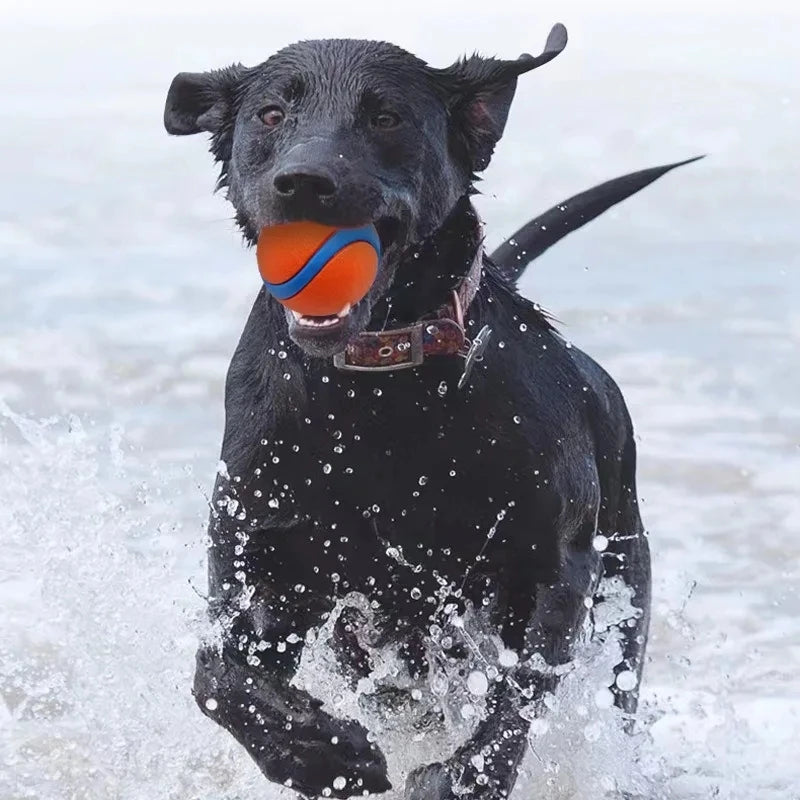 Dog Toy Ball Dog Fetch Ball Toy Tough Pet Ball Puppy Chew Toy Solid Elastic Jumping Ball Pet Accessories For Large Medium Small by HARMONYA STORE