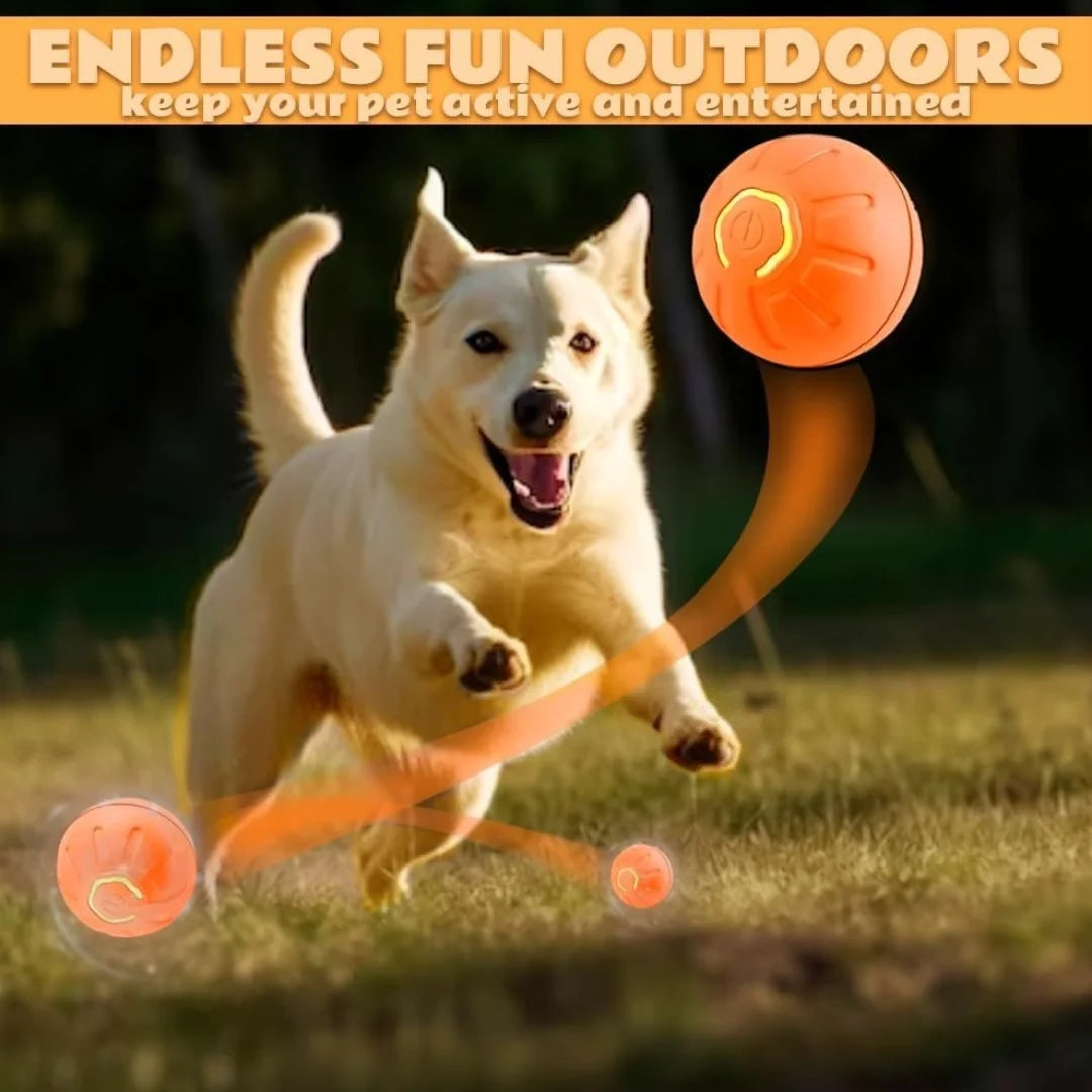 Pet toys Gravity Electric Amusement Pet Ball Smart Bouncing Ball For Dogs and Cats by HARMONYA STORE
