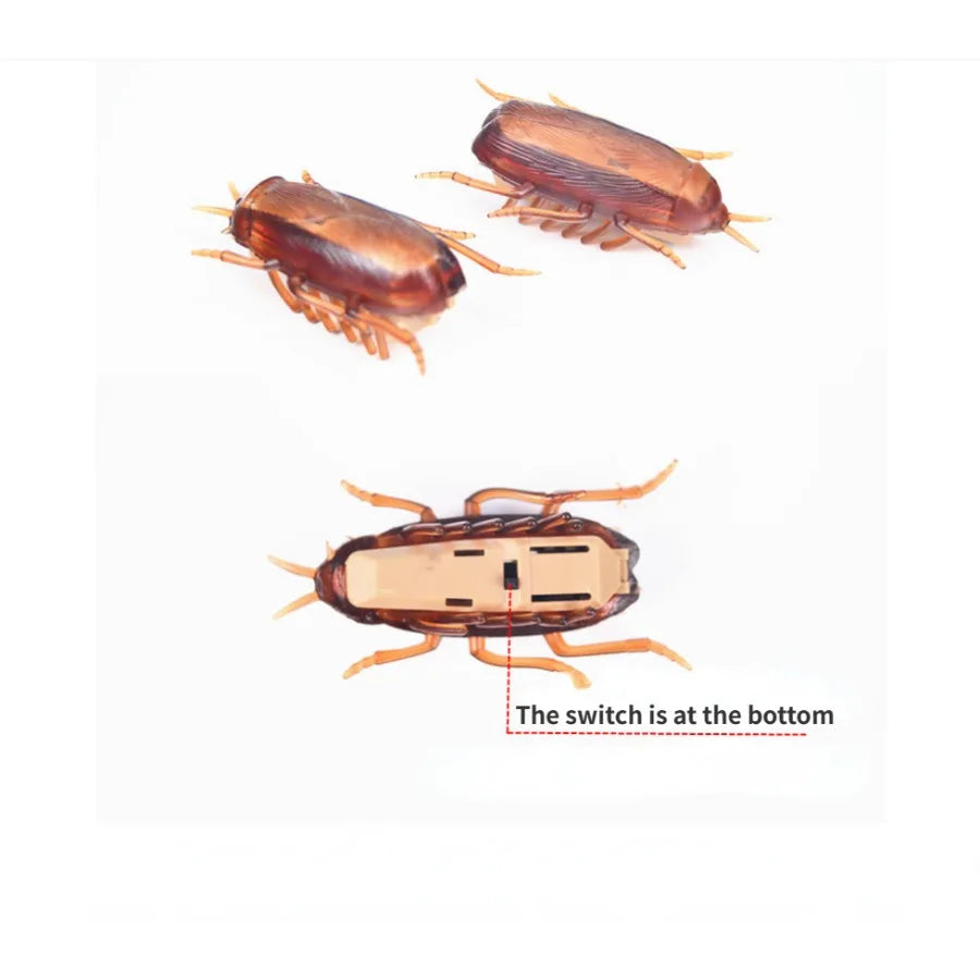Funny Simulation of Cockroaches Pet Cat Dog Kitten Interactive Training Play Toy by HARMONYA STORE