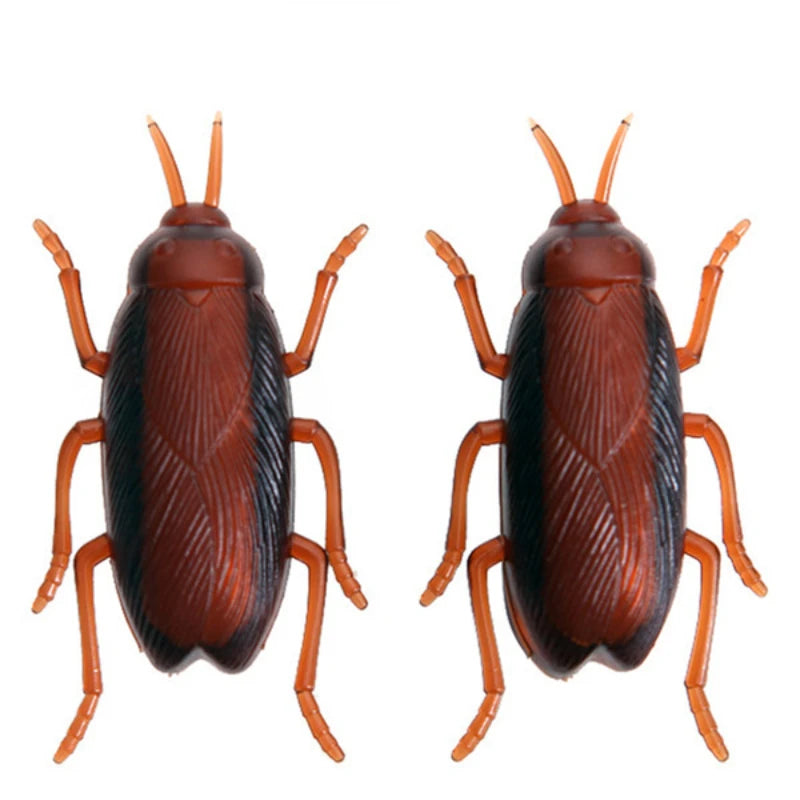 Funny Simulation of Cockroaches Pet Cat Dog Kitten Interactive Training Play Toy by HARMONYA STORE