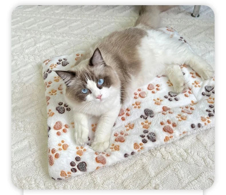 Flannel Pet Sleeping Mat Dog Bed Cat Litter Puppy Bed Dog Sofa Lovely Mattress Cushion for Small Large Dog Blanket For Winter by HARMONYA STORE