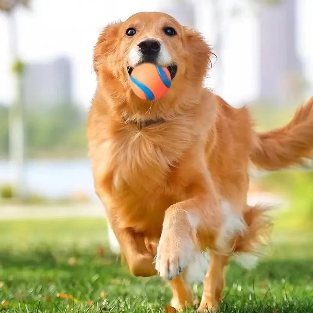 Dog Toy Ball Dog Fetch Ball Toy Tough Pet Ball Puppy Chew Toy Solid Elastic Jumping Ball Pet Accessories For Large Medium Small by HARMONYA STORE