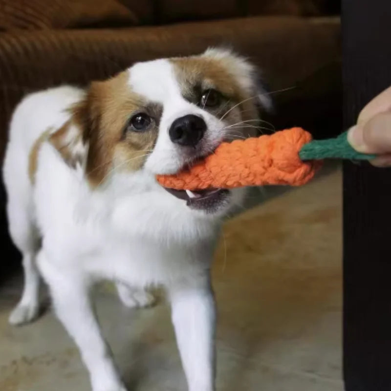 Cotton Rope Weaving Carrot Pet Toy for Puppies - Durable Wear & Bite Resistance Boredom Relief Dog Toy by HARMONYA STORE