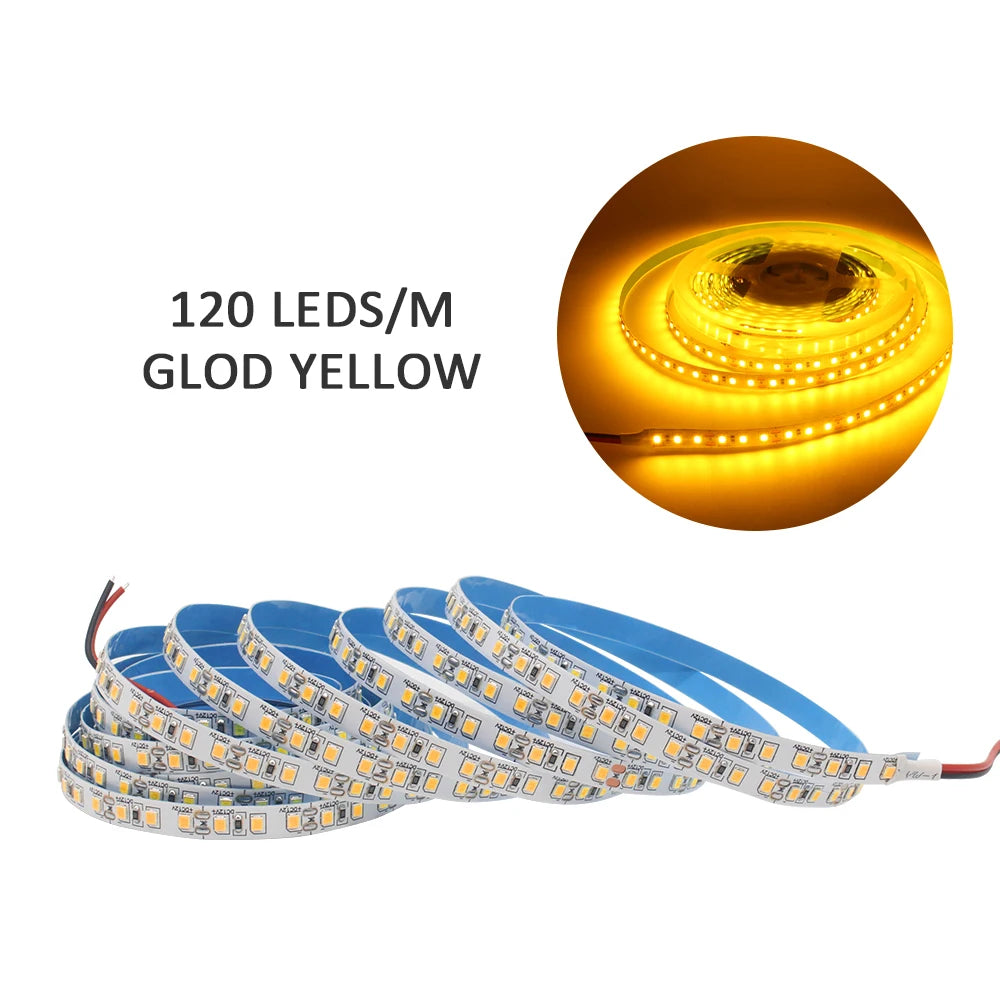 12V LED Strip SMD 2835 1M 2M 3M 4M 5M LED Stripe Tape Light 120LED/M 240LED/M Warm White Flexible Strip Ribbon Home Decor Light by HARMONYA STORE