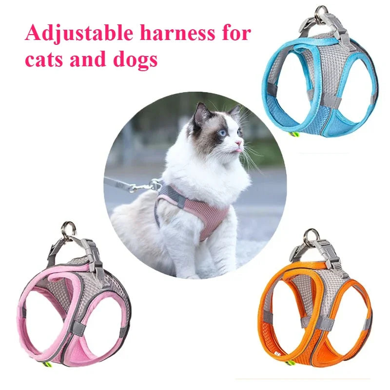 Cat Dog Toys for Aggressive Chewers Cats Dogs,Chew Squeak Toy Cats Dogs Interactive Plush Doll Pet Products by HARMONYA STORE