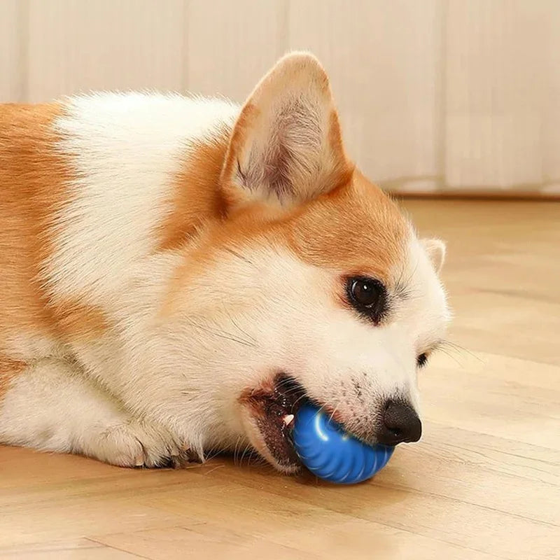 Smart Dog Toys Ball Electronic Interactive Pet Toy Moving Ball USB Automatic Moving Bouncing for Puppy Birthday gift Cat Product by HARMONYA STORE