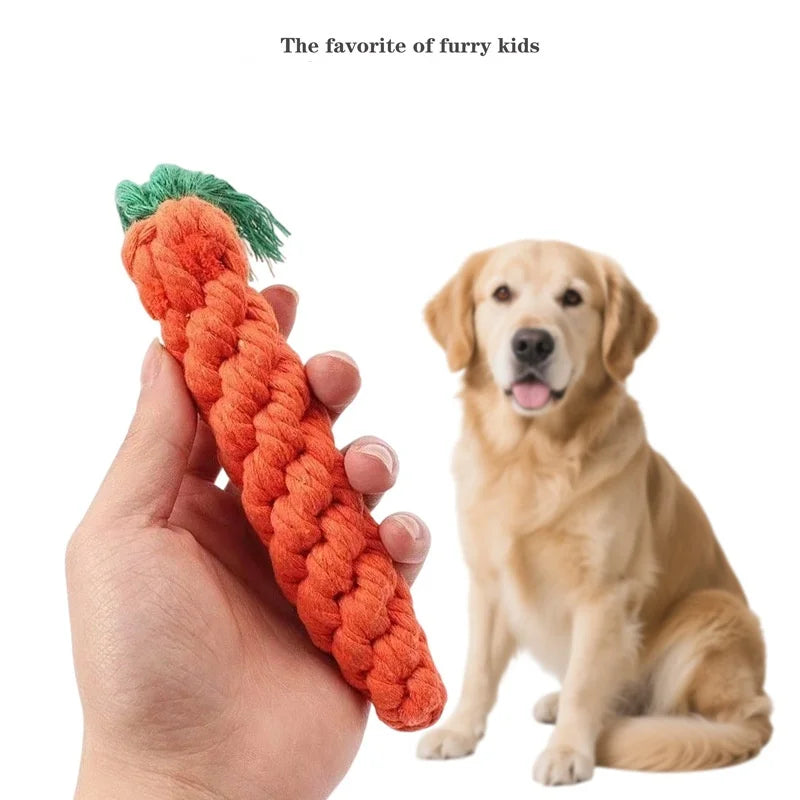 Fun Cat Teething Stick Sound Carrot Cuddle Toy Anti-Bite Scratch Board Pet Supplies for Interactive Entertainment by HARMONYA STORE
