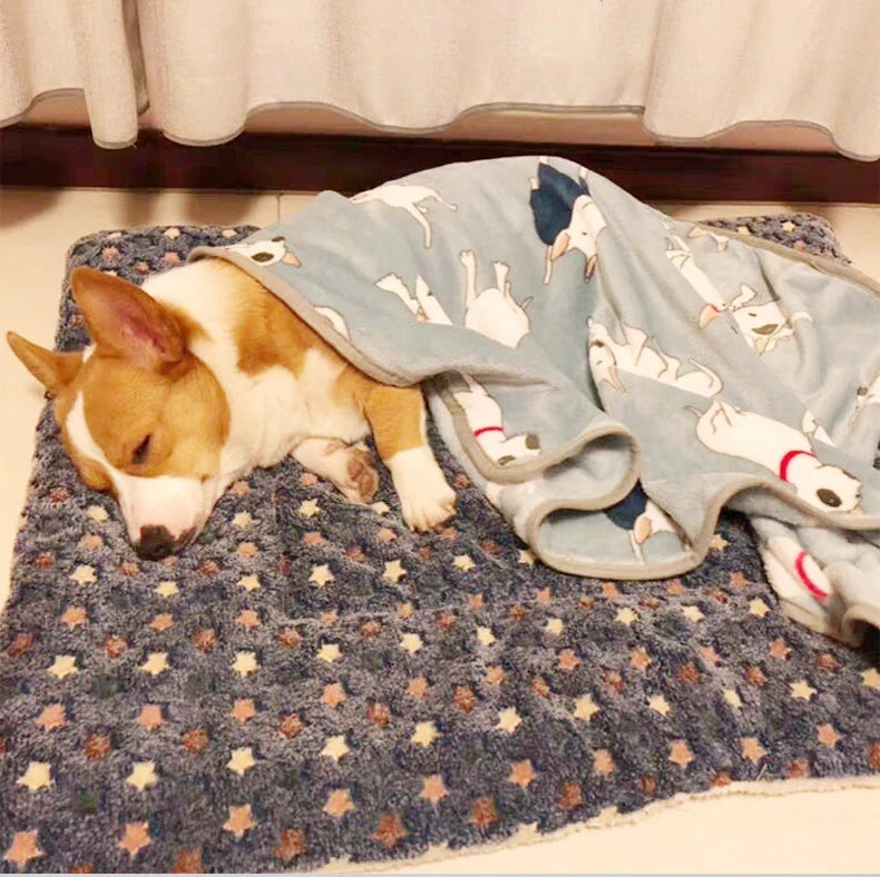 Flannel Pet Sleeping Mat Dog Bed Cat Litter Puppy Bed Dog Sofa Lovely Mattress Cushion for Small Large Dog Blanket For Winter by HARMONYA STORE