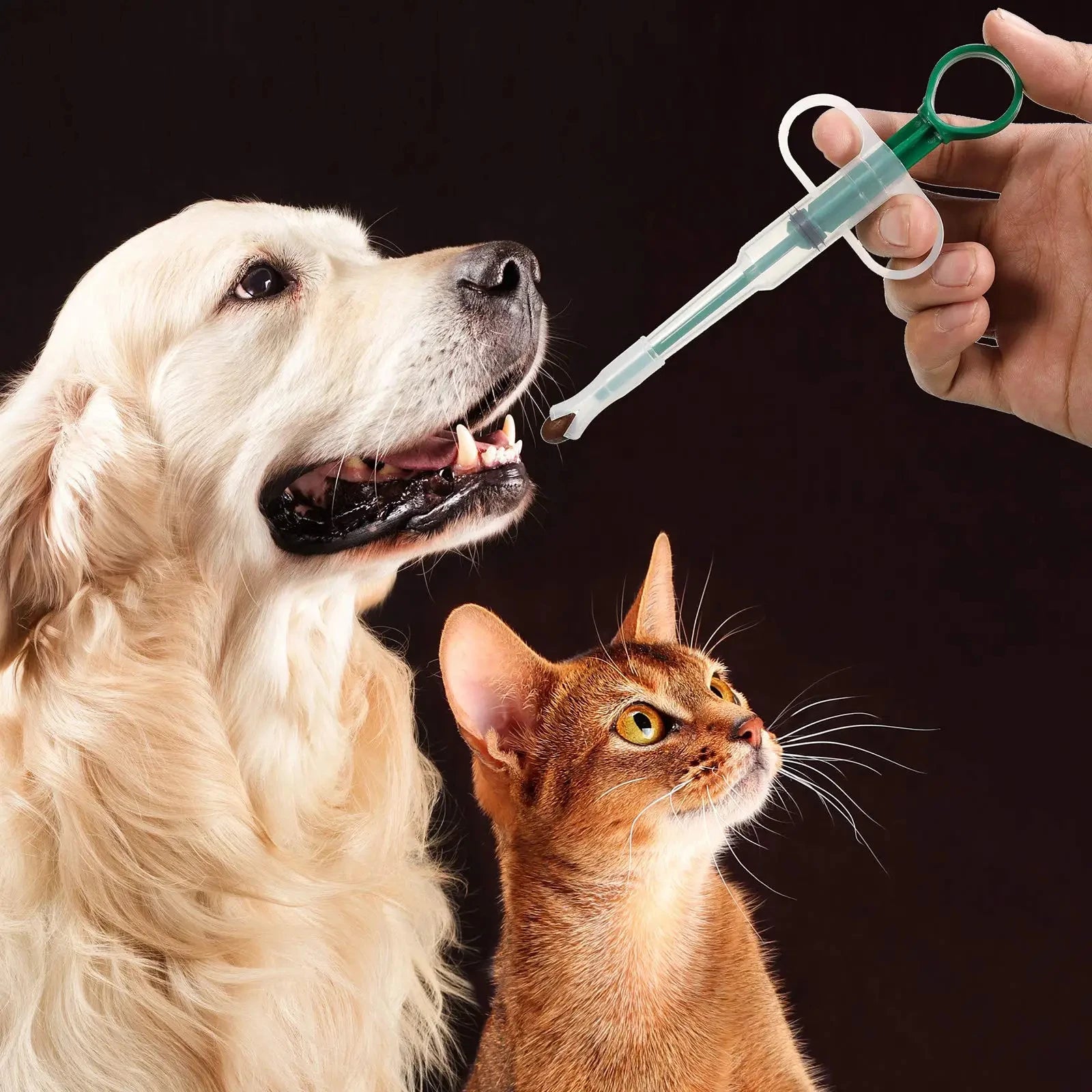 Pet Medication Dispenser, Pressing Feeding Stick for Cats and Dogs, Eating Pills, Pills, Medication Artifacts, Pet Sickness Care by HARMONYA STORE