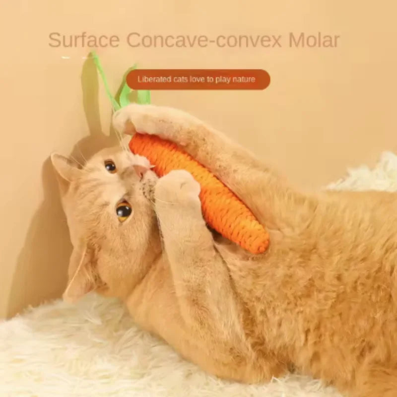 Fun Cat Teething Stick Sound Carrot Cuddle Toy Anti-Bite Scratch Board Pet Supplies for Interactive Entertainment by HARMONYA STORE