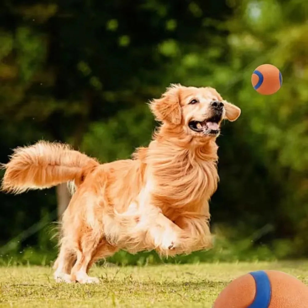 Dog Toy Ball Dog Fetch Ball Toy Tough Pet Ball Puppy Chew Toy Solid Elastic Jumping Ball Pet Accessories For Large Medium Small by HARMONYA STORE
