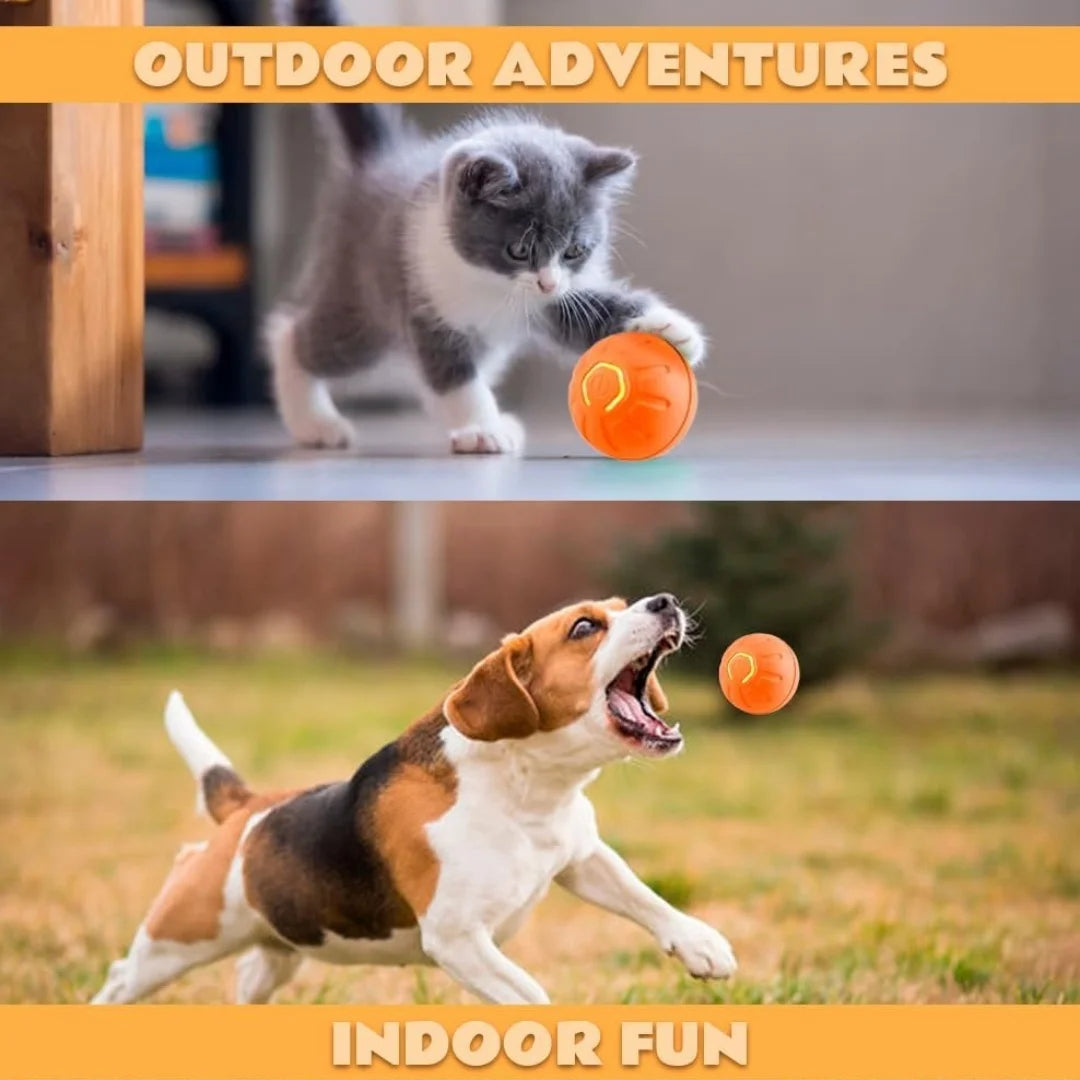 Pet toys Gravity Electric Amusement Pet Ball Smart Bouncing Ball For Dogs and Cats by HARMONYA STORE