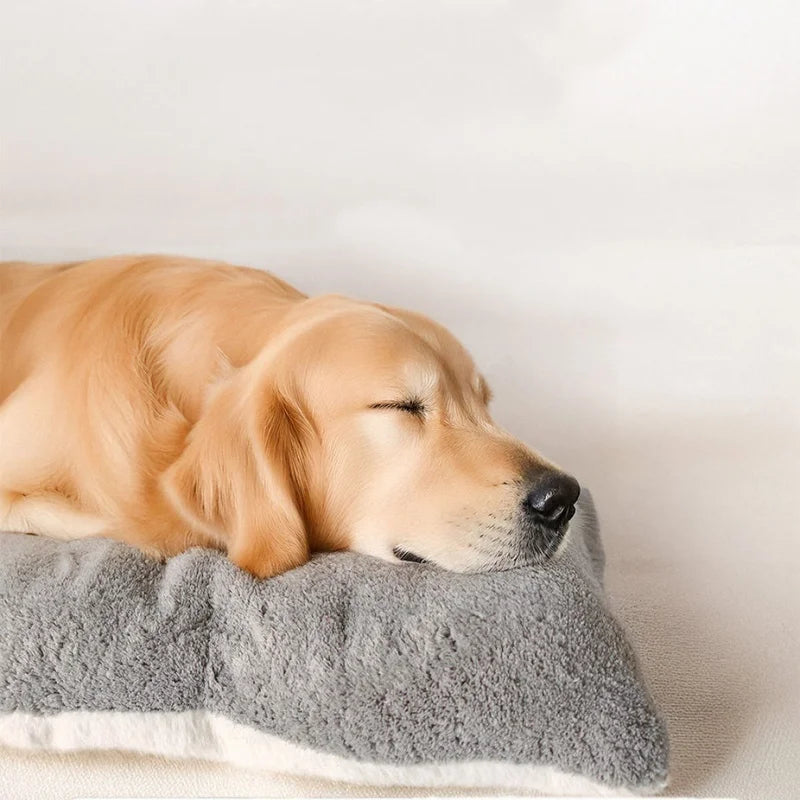 BOOTEELY Extra Large Plush Dog Bed Sofa Thickened Super Soft Polyester Pet Mat Dog Crate Mat Bed For Small Medium Large Dog Bed by HARMONYA STORE