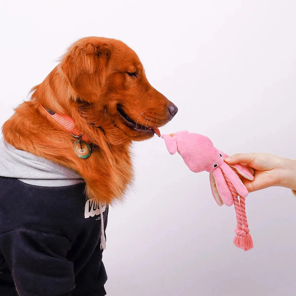 Supet Pet Octopus Plush Rope Toy Is Bite-resistant, Fun and Interactive, Suitable for Indoor and Outdoor Use by HARMONYA STORE