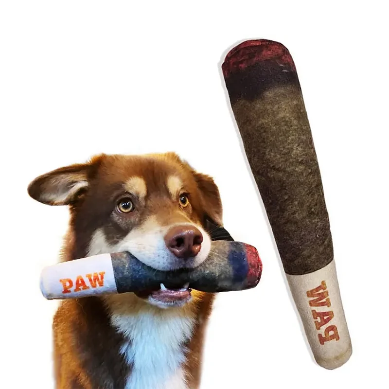 Plush Squeaky Toys for Medium, Small and Large - Cool Stuffed Cute Gifts for Dog Birthday Dog Joint Toys Funny Interactive by HARMONYA STORE