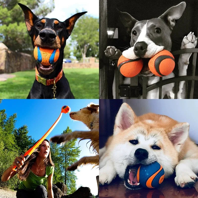 Dog Toy Ball Dog Fetch Ball Toy Tough Pet Ball Puppy Chew Toy Solid Elastic Jumping Ball Pet Accessories For Large Medium Small by HARMONYA STORE