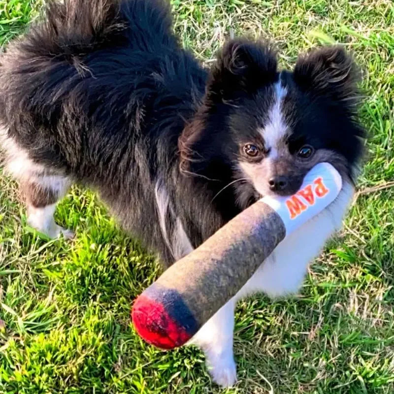 Plush Squeaky Toys for Medium, Small and Large - Cool Stuffed Cute Gifts for Dog Birthday Dog Joint Toys Funny Interactive by HARMONYA STORE