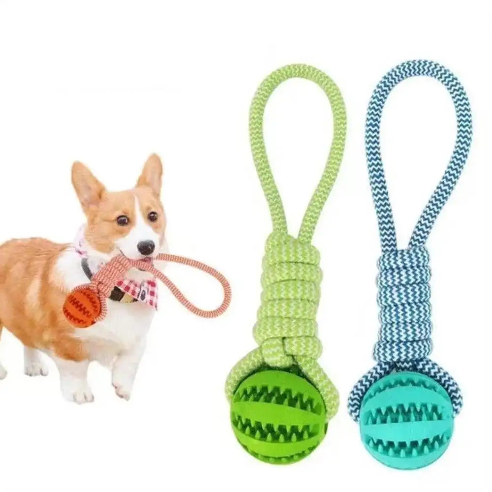 Pet Toy Dog Bite-Resistant Cotton Rope Hand-Held Treat Ball for Teeth Cleaning and Training, Interactive Educational Toy Ball by HARMONYA STORE