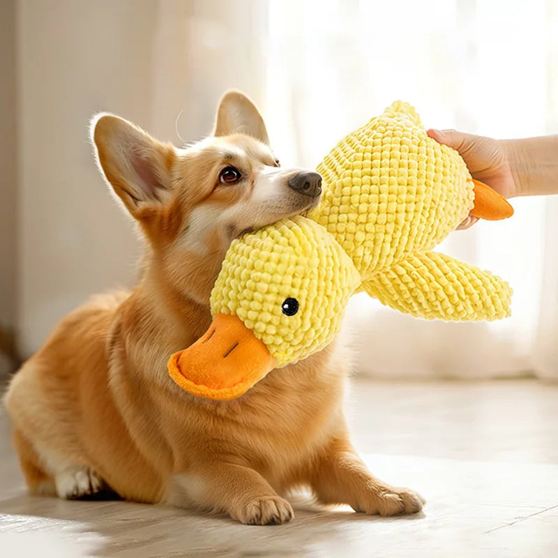 Cat Dog Toys for Aggressive Chewers Cats Dogs,Chew Squeak Toy Cats Dogs Interactive Plush Doll Pet Products by HARMONYA STORE