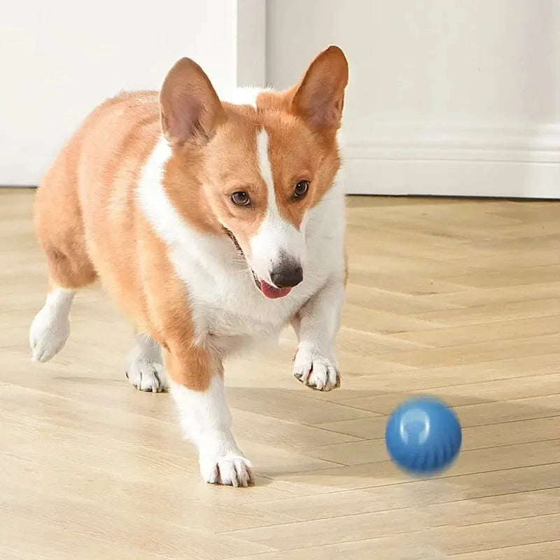 Smart Dog Toys Ball Electronic Interactive Pet Toy Moving Ball USB Automatic Moving Bouncing for Puppy Birthday gift Cat Product by HARMONYA STORE
