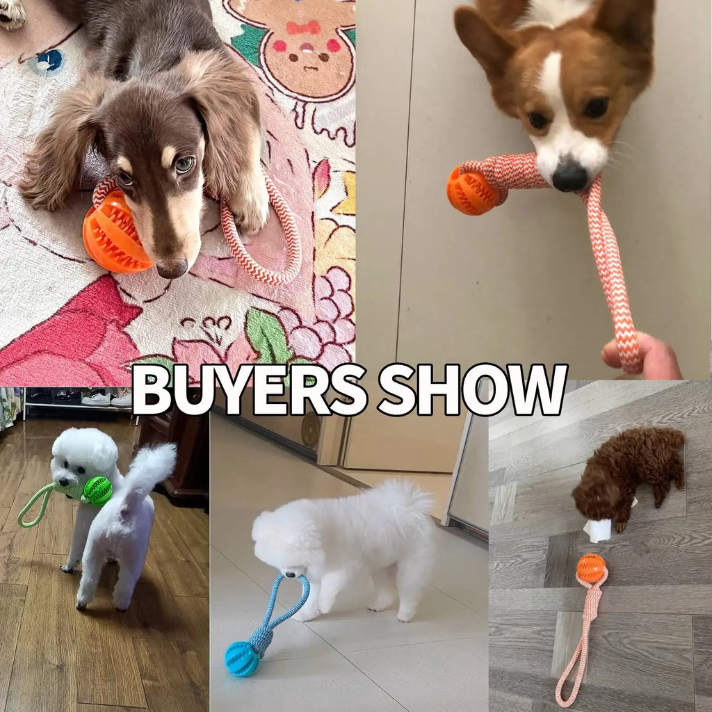 Pet Toy Dog Bite-Resistant Cotton Rope Hand-Held Treat Ball for Teeth Cleaning and Training, Interactive Educational Toy Ball by HARMONYA STORE
