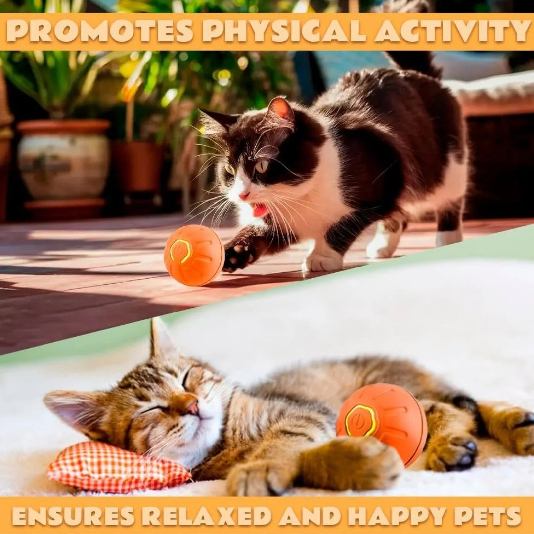 Pet toys Gravity Electric Amusement Pet Ball Smart Bouncing Ball For Dogs and Cats by HARMONYA STORE
