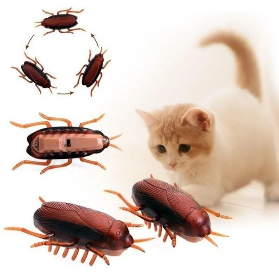Funny Simulation of Cockroaches Pet Cat Dog Kitten Interactive Training Play Toy by HARMONYA STORE
