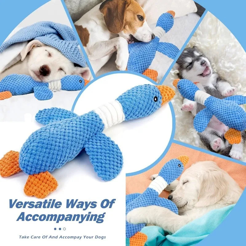 Cat Dog Toys for Aggressive Chewers Cats Dogs,Chew Squeak Toy Cats Dogs Interactive Plush Doll Pet Products by HARMONYA STORE