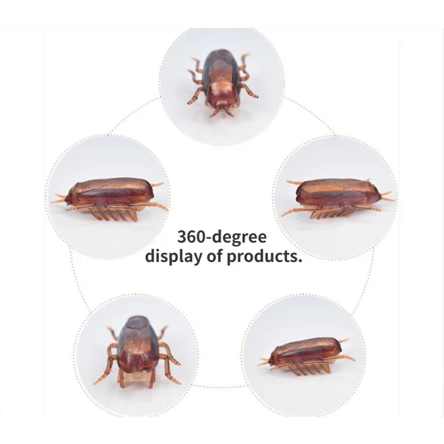 Funny Simulation of Cockroaches Pet Cat Dog Kitten Interactive Training Play Toy by HARMONYA STORE