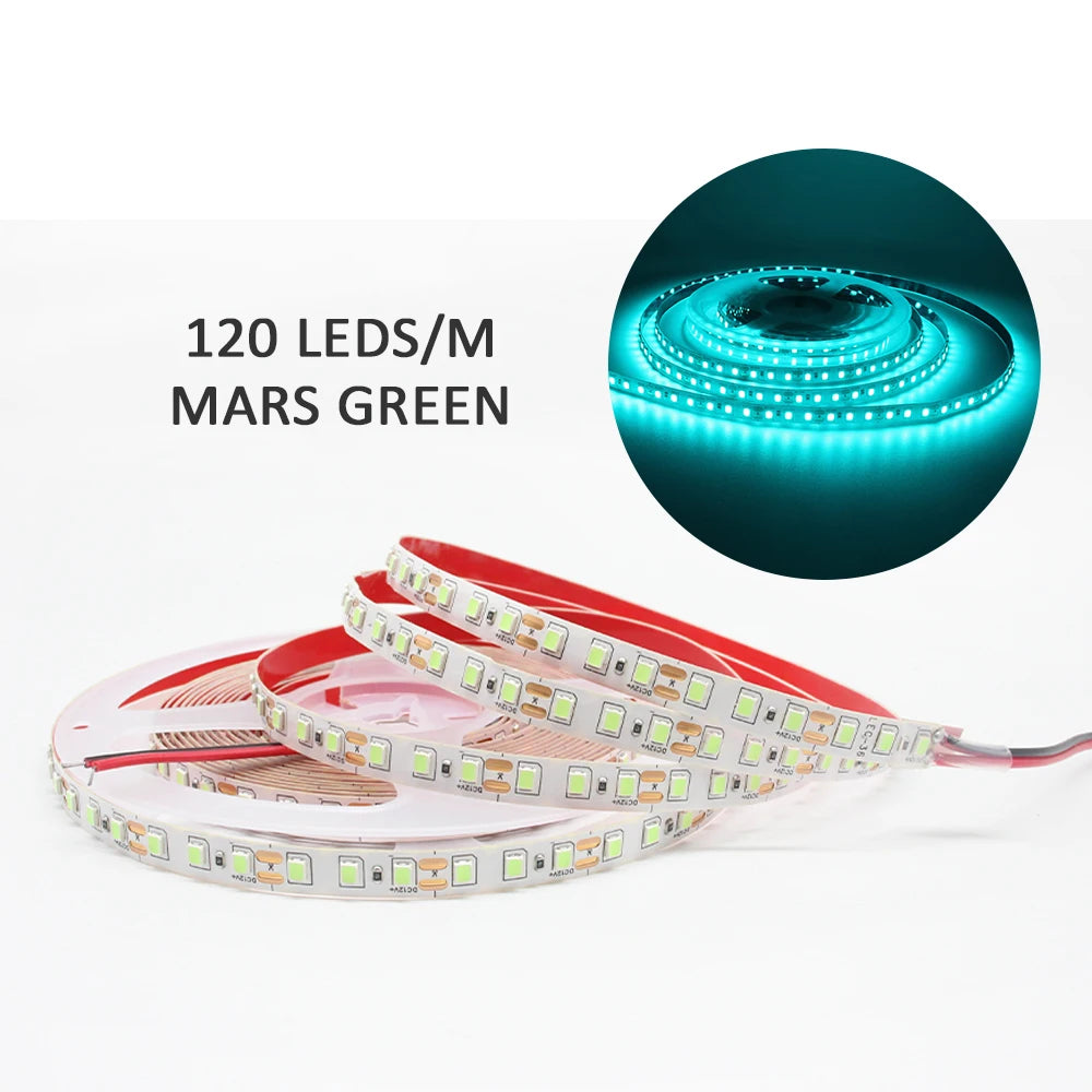 12V LED Strip SMD 2835 1M 2M 3M 4M 5M LED Stripe Tape Light 120LED/M 240LED/M Warm White Flexible Strip Ribbon Home Decor Light by HARMONYA STORE