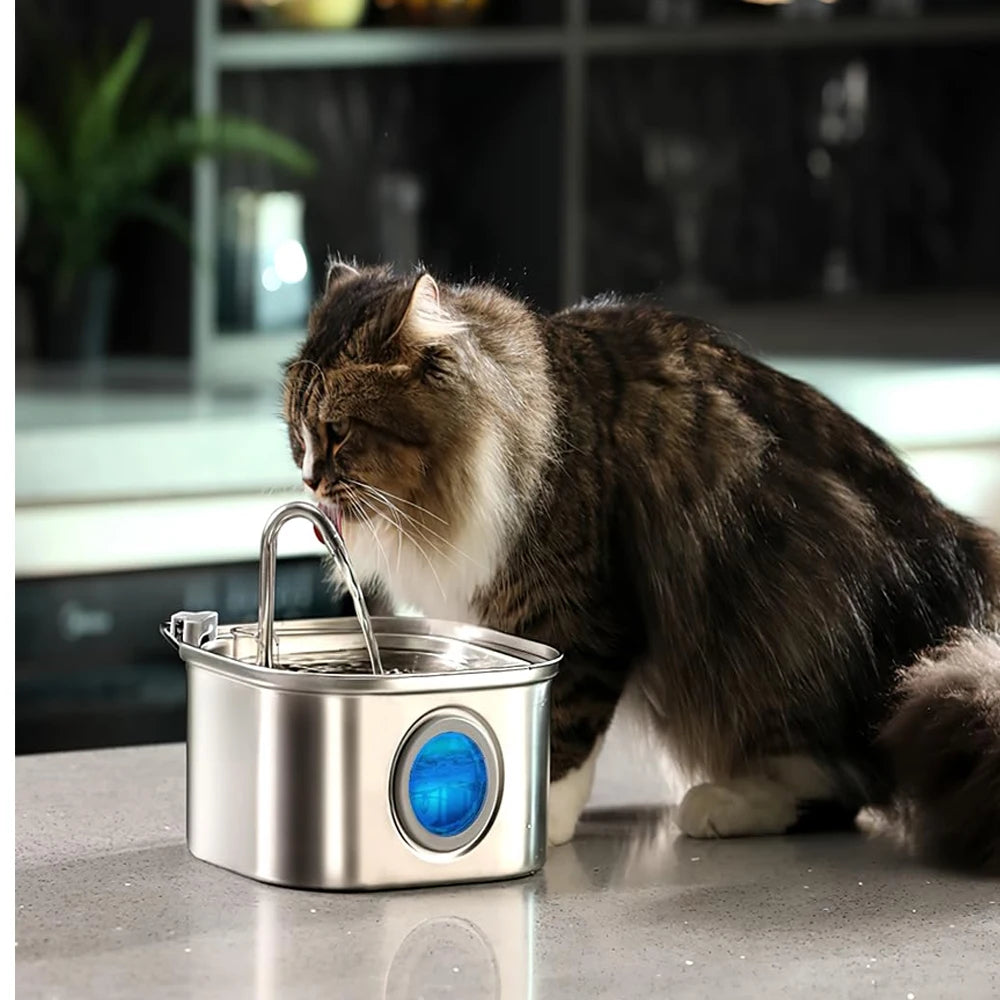 ZYFeeder 2.2L Automatic Cat Water Fountain Square Stainless Steel Pet Water Feeder Dog Water Fountain with window（No 5V 1A Plug） by HARMONYA STORE
