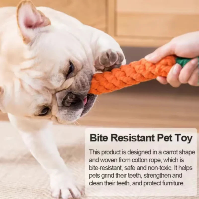 Fun Cat Teething Stick Sound Carrot Cuddle Toy Anti-Bite Scratch Board Pet Supplies for Interactive Entertainment by HARMONYA STORE