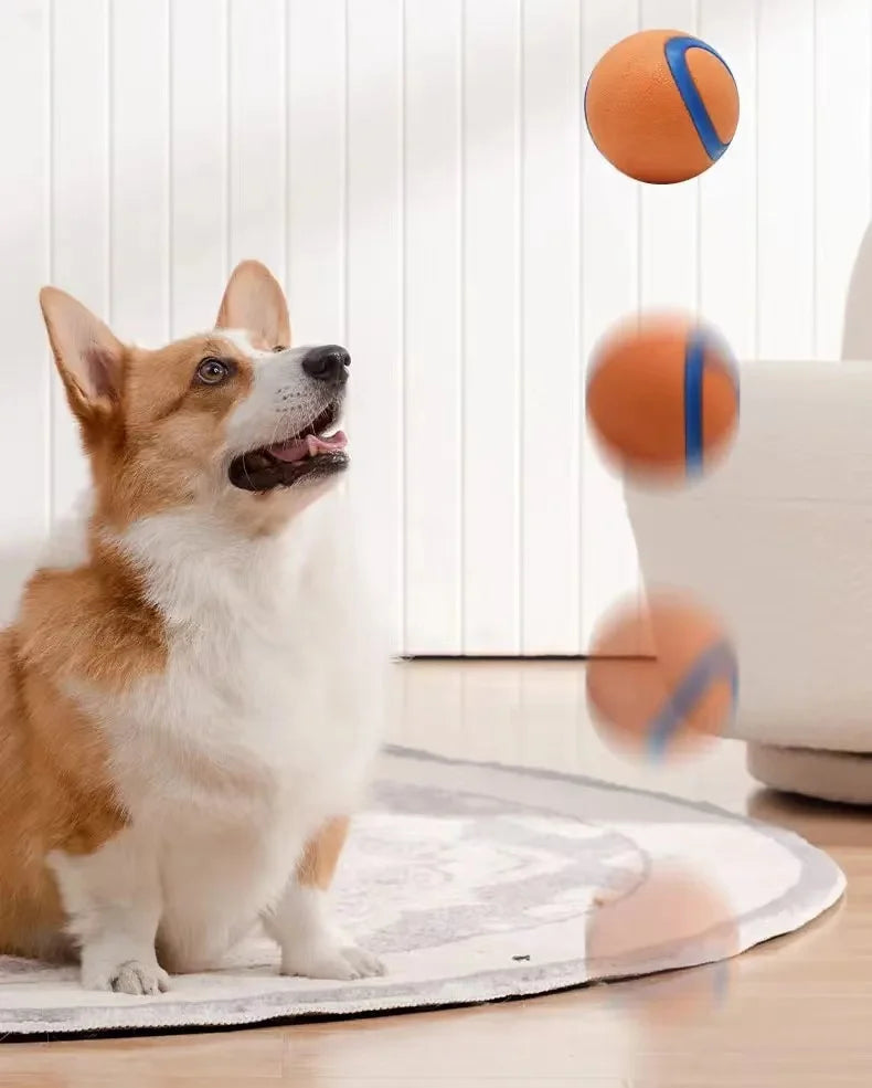 Dog Toy Ball Dog Fetch Ball Toy Tough Pet Ball Puppy Chew Toy Solid Elastic Jumping Ball Pet Accessories For Large Medium Small by HARMONYA STORE