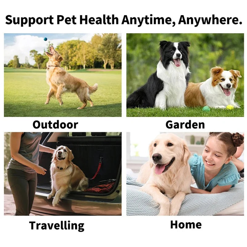 Pet cleaning products Disposable finger toothbrush Pet teeth cleaning finger covers wet wipes Dog and cat oral cleaning by HARMONYA STORE