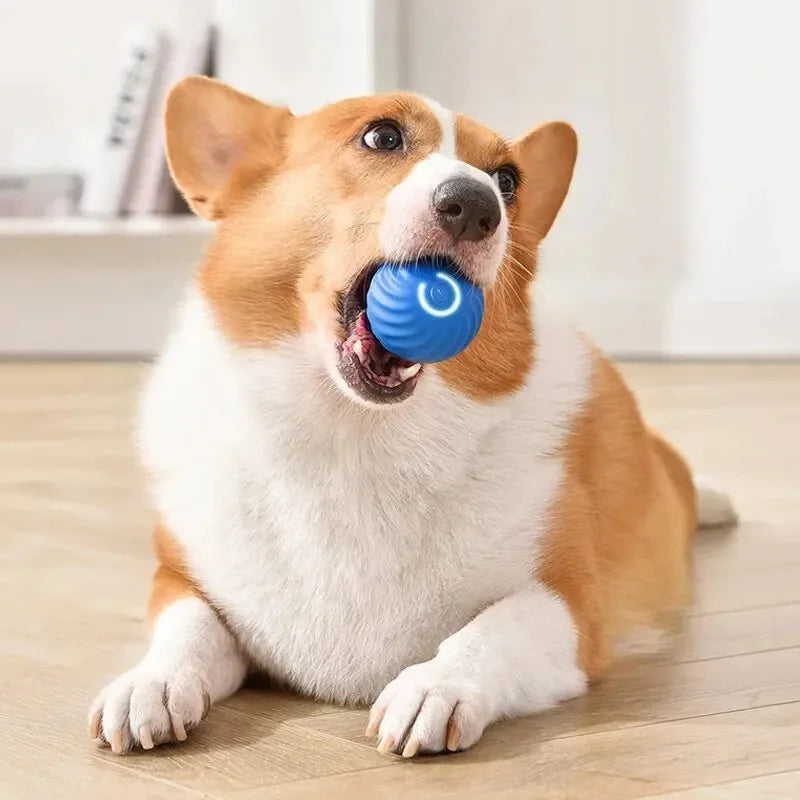 Smart Dog Toys Ball Electronic Interactive Pet Toy Moving Ball USB Automatic Moving Bouncing for Puppy Birthday gift Cat Product by HARMONYA STORE