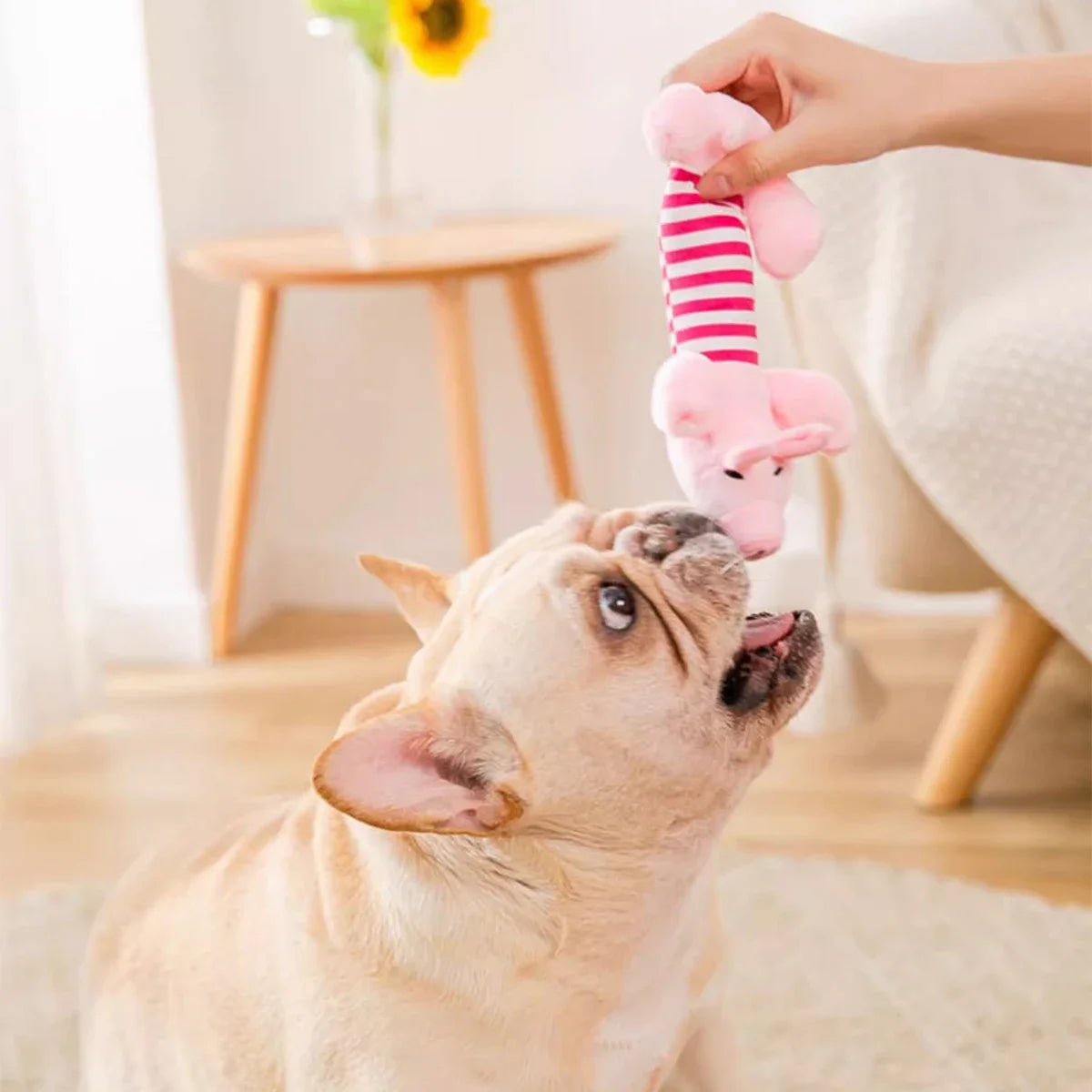 Pet Dogs, Cats, Plush Cartoon Embroidery, Bite Resistant and Stress Relieving, Ducks, Pigs, Elephants, Cute Vocalizations Toys by HARMONYA STORE