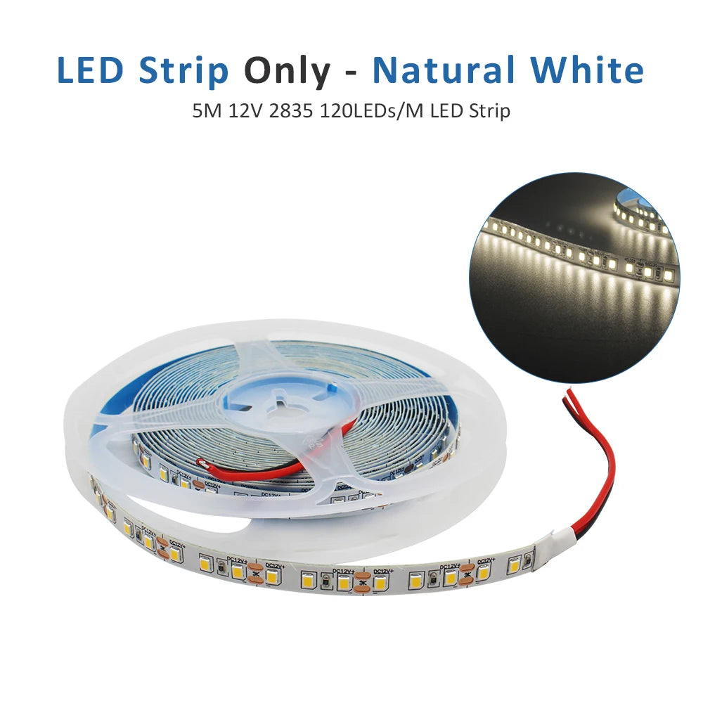 12V LED Strip SMD 2835 1M 2M 3M 4M 5M LED Stripe Tape Light 120LED/M 240LED/M Warm White Flexible Strip Ribbon Home Decor Light by HARMONYA STORE