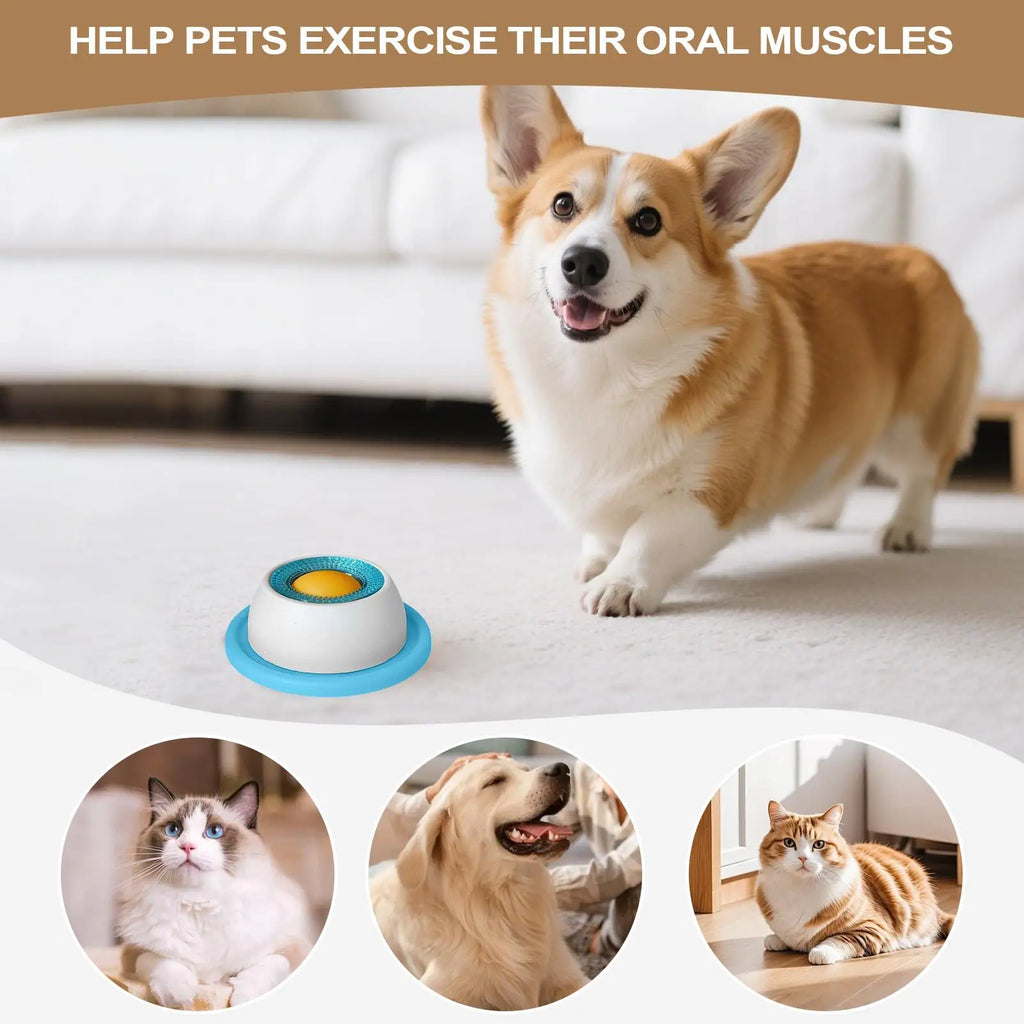 Pet Feeding Accessories Dog Treat Toy Puzzle Toys For Bored Puppy Slow Feeder Puppy Supplies For Healthy Eating Food Crate by HARMONYA STORE