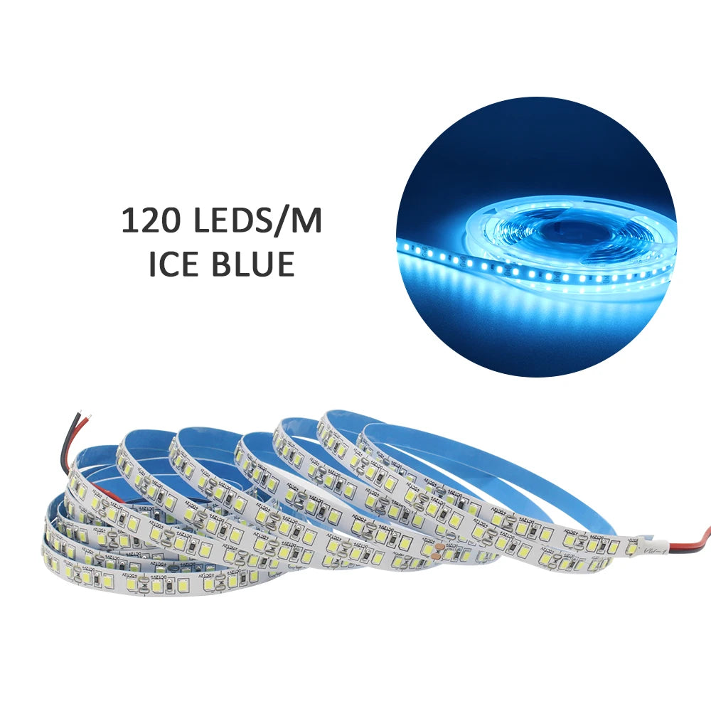 12V LED Strip SMD 2835 1M 2M 3M 4M 5M LED Stripe Tape Light 120LED/M 240LED/M Warm White Flexible Strip Ribbon Home Decor Light by HARMONYA STORE