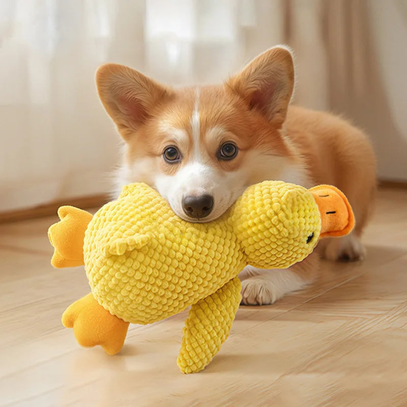 Cat Dog Toys for Aggressive Chewers Cats Dogs,Chew Squeak Toy Cats Dogs Interactive Plush Doll Pet Products by HARMONYA STORE