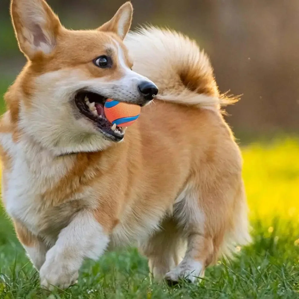 Dog Toy Ball Dog Fetch Ball Toy Tough Pet Ball Puppy Chew Toy Solid Elastic Jumping Ball Pet Accessories For Large Medium Small by HARMONYA STORE